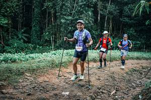 BIB: 
                            <button type="button" onclick="openModal(25946481)" class="btn btn-primary btn-sm float-right btn-popup" data-toggle="modal" data-target=".modal-high-quality">
                        <i class="fas fa-shopping-cart"></i> Add to Cart
                    </button>
                                            <button type="button" onclick="isThisMe(25946481, true)" class="btn btn-success btn-sm float-right btn-popup btn-isme hidden" data-toggle="tooltip" data-placement="bottom" title="นี่คือรูปของคุณใช่ไหม คลิกที่นี่เพื่อเอาเข้าอัลบั้ม">
                        <i class="fas fa-plus"></i> Add to album
                    </button>
                    <button type="button" onclick="isThisMe(25946481, false)" class="btn btn-warning btn-sm float-right btn-popup btn-isnotme hidden">
                        <i class="fas fa-ban"></i> Remove from album
                    </button>